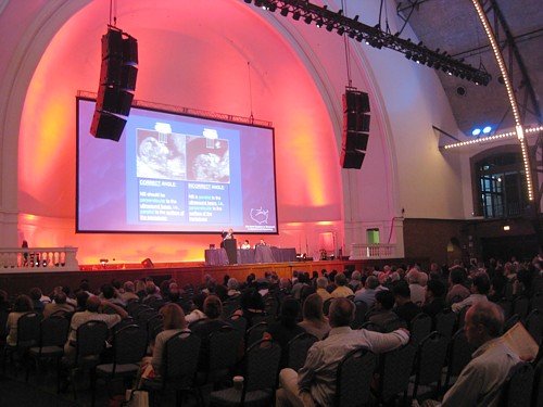 Международный Конгресс ассоциации ISUOG в Чикаго, 2008 г.