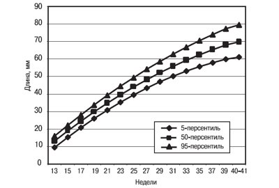 Диаграмма роста длины легкого плода