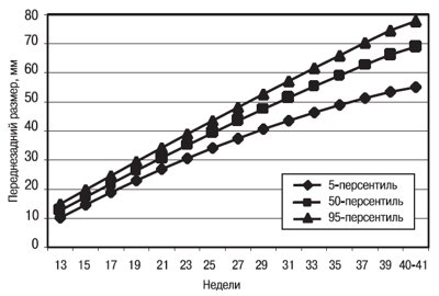 Диаграмма переднезаднего размера правого легкого плода