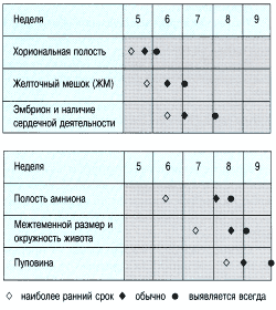 Беременность 6 7 Недель Фото Размер