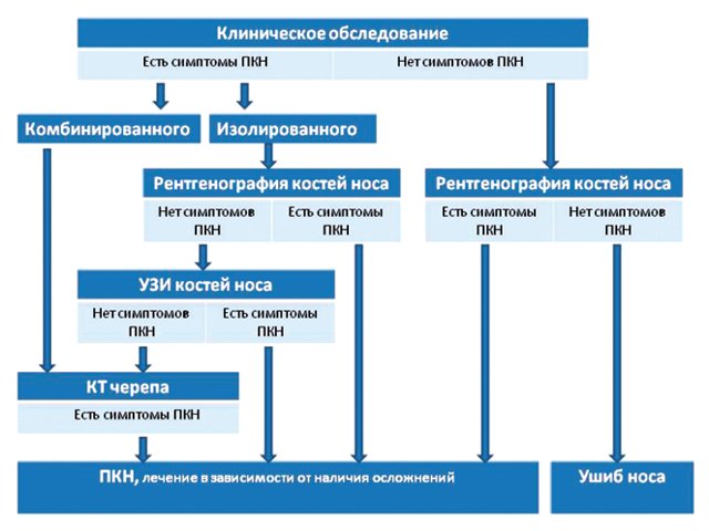 Алгоритм обследования пациента при травме носа