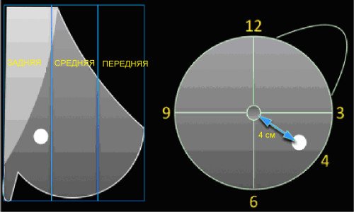 Схема - локализация образования молочной железы