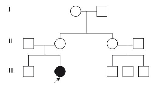 Схема - родословная при синдроме ФНД (клинический случай 1)