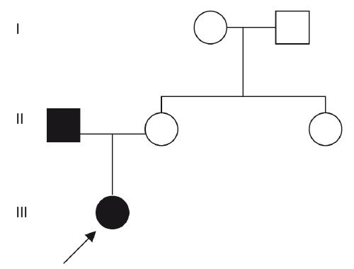 Схема - родословная при ФНД (клинический случай 2)