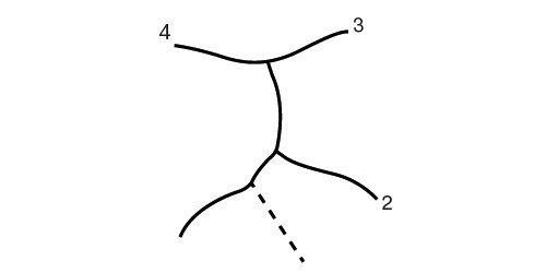 Схематическое изображение сегментарных ветвей воротной вены левой доли печени