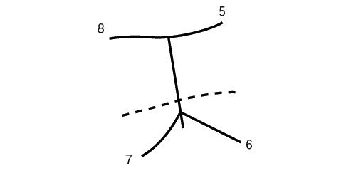 Схематическое изображение сегментарных ветвей воротной вены правой доли печени