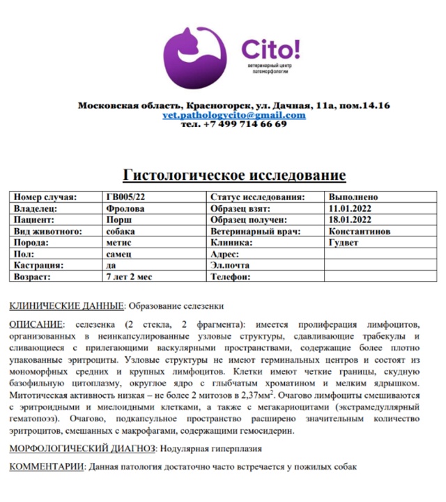 Гистологическое заключение лаборатории