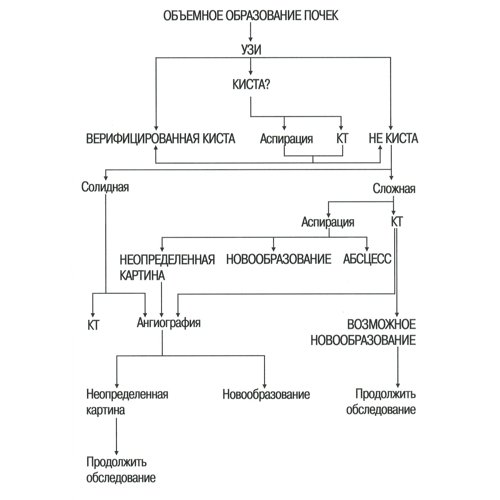 Схема применения лучевых методов визуализации для диагностики объемных образований почек